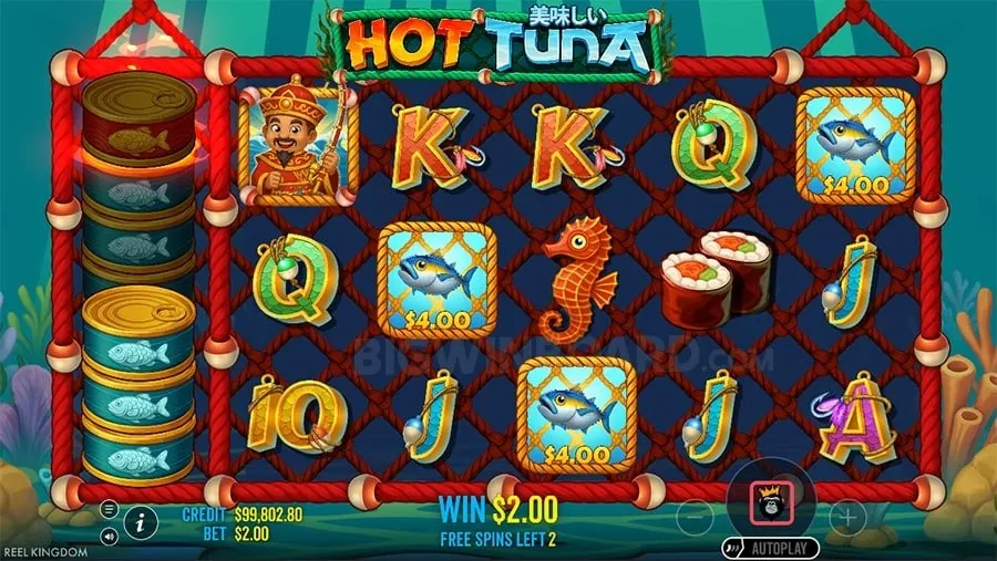 Slots8 Live Casino Games